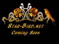 star-bird.net
