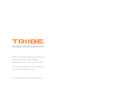 triibe.com