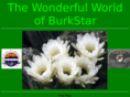 burkstar.com
