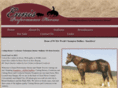 ennisperformancehorses.com