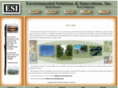 environmentalsi.com
