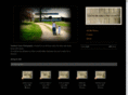 southern-grace-photography.com