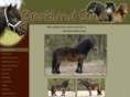 brooklandponies.com