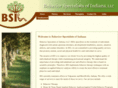 bsitherapy.com