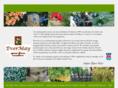 evermaygardencenter.com