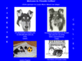 firesidecollies.com