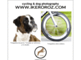 ikeroroz.com