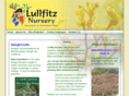 lullfitz.com.au