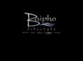baipho.com
