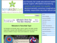 terrakidstoys.com