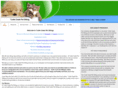 turtlecreekpetsitting.com
