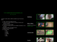 bubblesoup2004.com