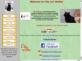 citycatshelter.com