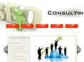 seo-consulting.cz