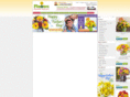 wwwsendflowers.net