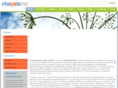 chayaisms.com