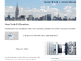 newyorkcollocation.com