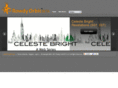 rowdyorbit.com