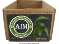 absoluteimpactmarketing.com