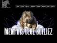 memphisbluebulliez.com