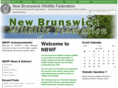 nbwildlifefederation.org