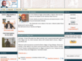 ngige.com