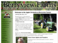 berryviewfarm.com