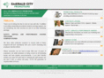 emeraldcitypromo.com