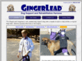 gingerlead.com