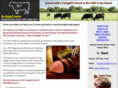 h-beef.com