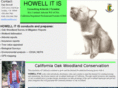 howellitis.com