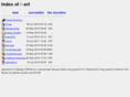 pfanstiehl.net