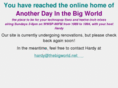 thebigworld.net