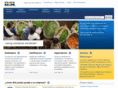 bsi-mexico.com