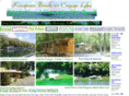 cayugalake-kingtownbeach.com