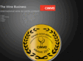 cinve-usa.com