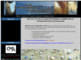 climbingwalls.net
