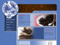 rocketboostcoffee.net