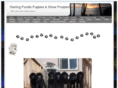 sterlingpoodlepuppies.com