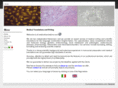 al-medicaltranslations.com