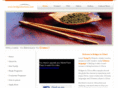 bridgestochina.com