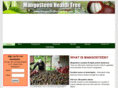 mangosteenhealthtree.com