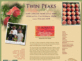 twinpeaksent.com