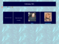 callowayinc.com