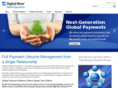 digitalriverpayments.com