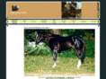 goodeveninghaida.com
