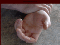 hope-forge.com