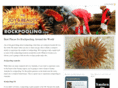 rockpooling.com