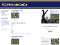 wolverinesdaily.com