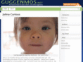 guggenmos.net